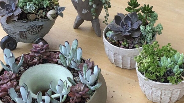 テリエdeラパン